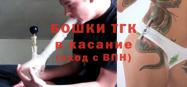 PSILOCYBIN Бородино