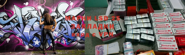 ГАЛЛЮЦИНОГЕННЫЕ ГРИБЫ Верея