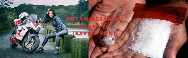 PSILOCYBIN Бородино