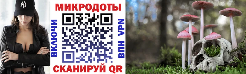 Купить  Наро-Фоминск  Галлюциногенные грибы мухоморы 